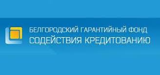 Белгородский гарантийный фонд содействия кредитованию подвел итоги работы за 2020 год