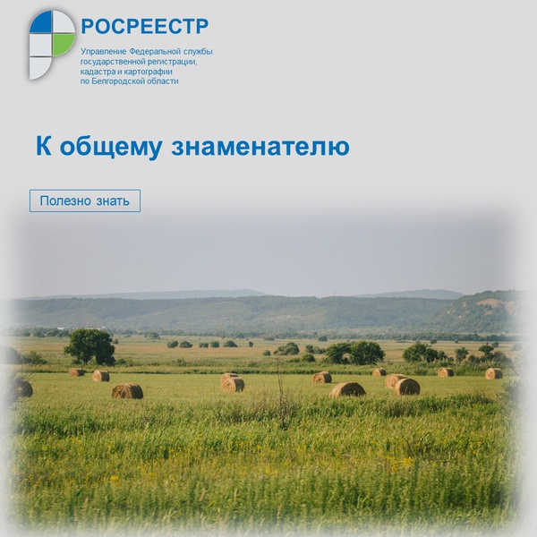 К общему знаменателю
